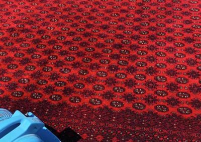 Professional Rug Cleaning Port Macquarie