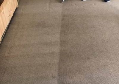 Quality Carpet Cleaning Port Macquarie