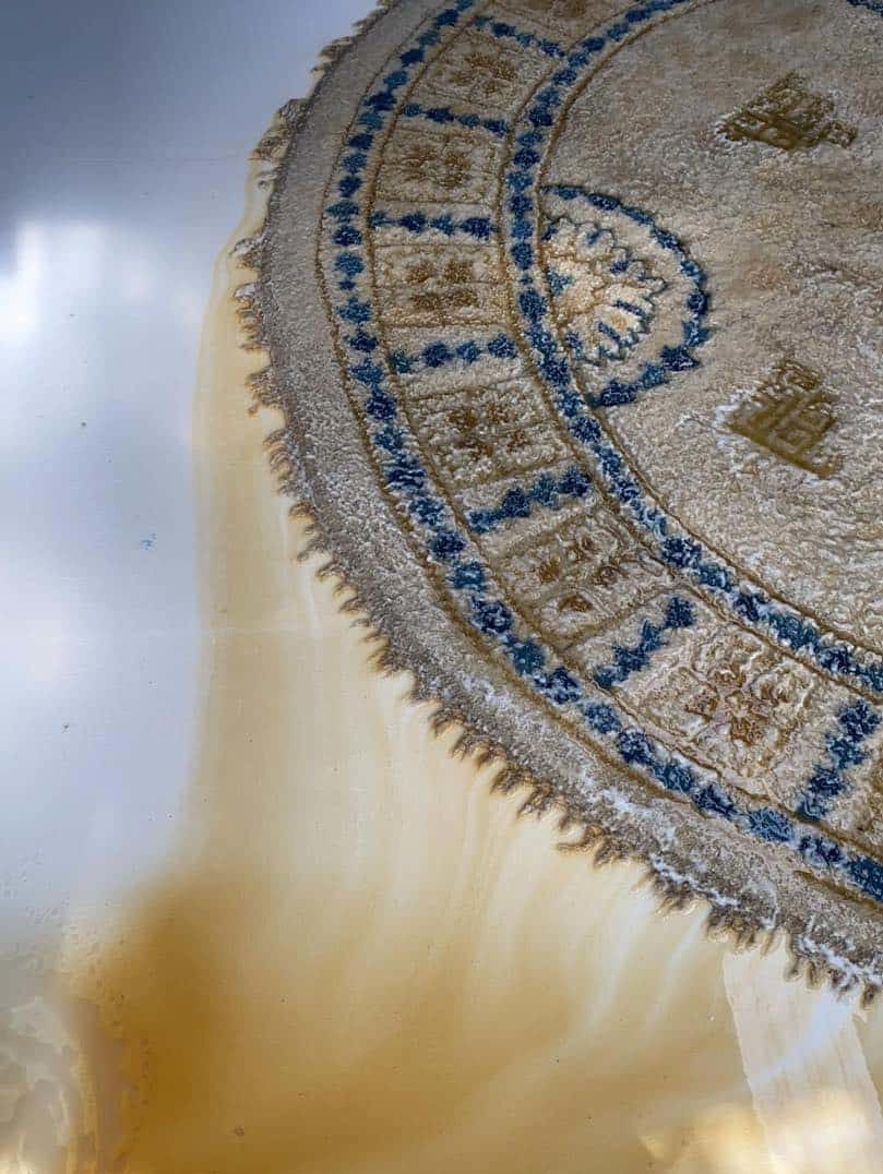 Professional Rug Cleaning Service Port Macquarie
